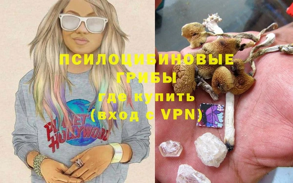 прущие крисы Абинск