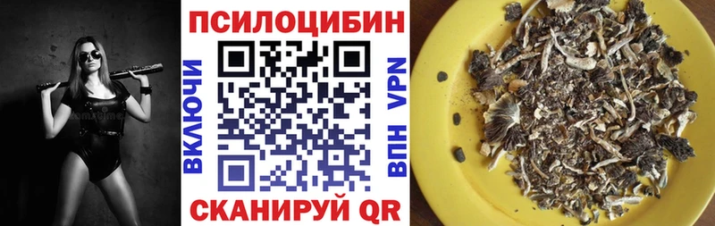 Псилоцибиновые грибы ЛСД  Новокузнецк 